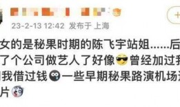 陈飞宇爆料后续事件视频,揭秘事件背后真相与影响